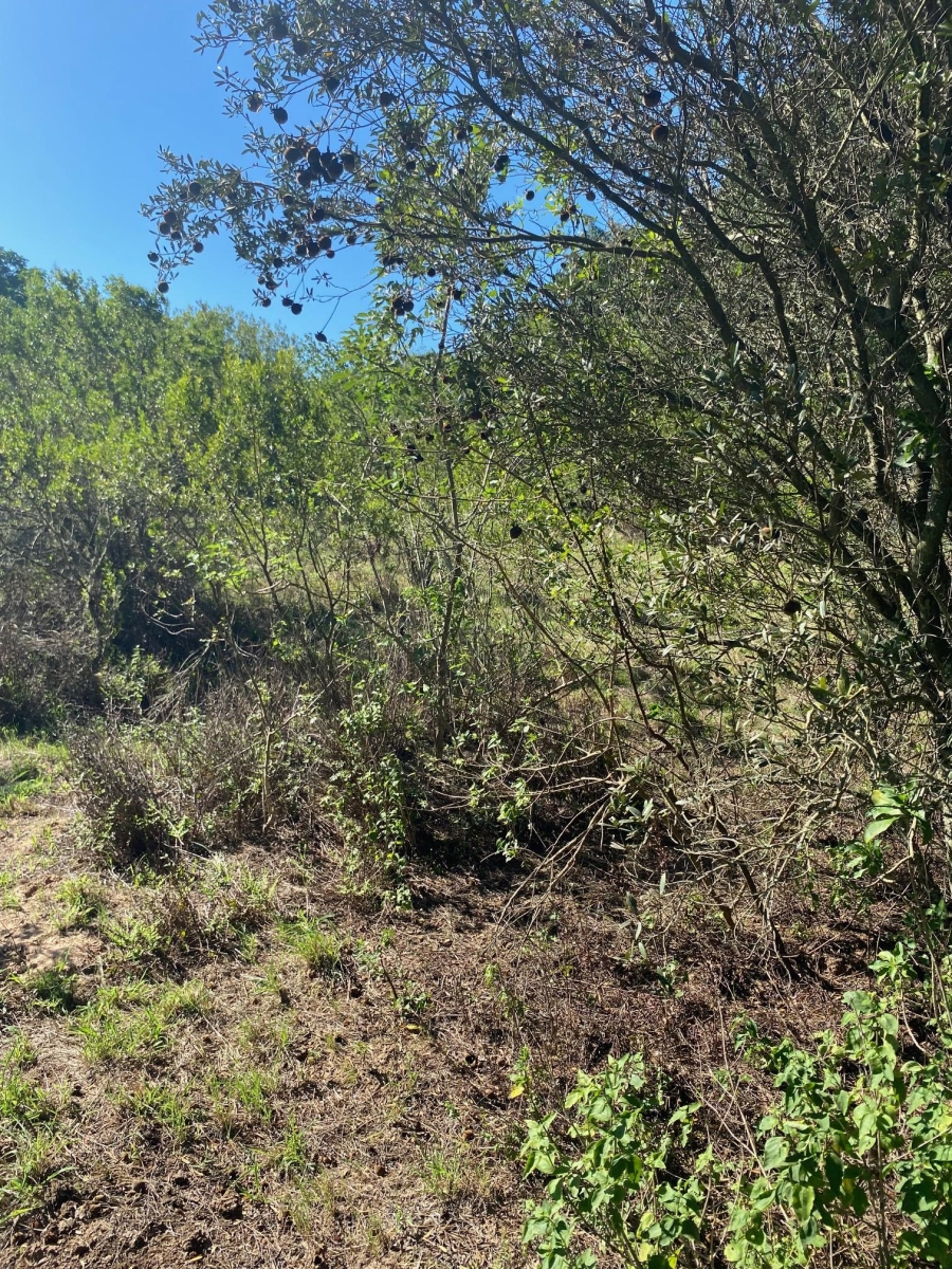 0 Bedroom Property for Sale in Bathurst Eastern Cape